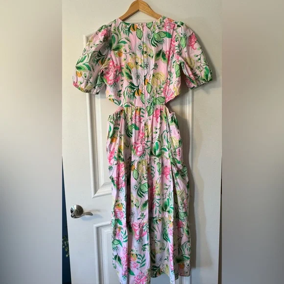 Lilly Pulitzer Lyssa Cotton Midi Dress - Picture 5 of 14